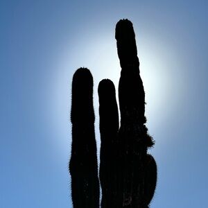 Meet your Poshers ⚫️